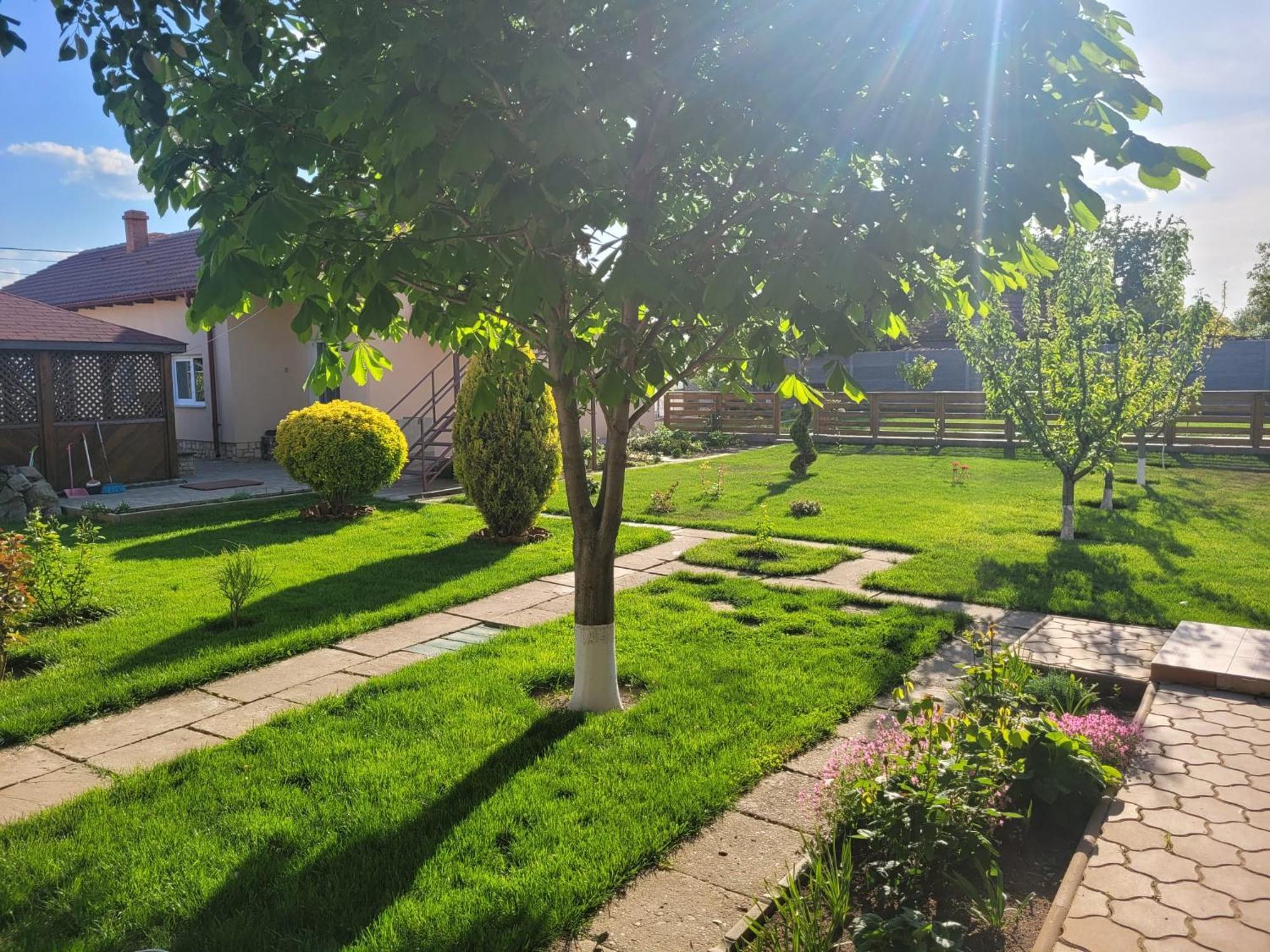 Casa Viviana Hotel Baia Buitenkant foto
